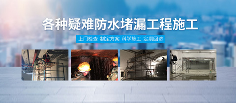 �������̴��˹�/���Ʋ��